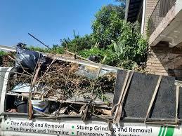 Best Dumpster Rental Services  in Penitas, TX