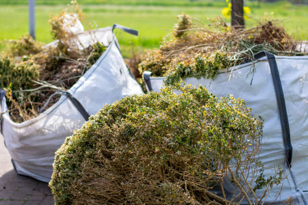 Best Mattress Disposal  in Penitas, TX